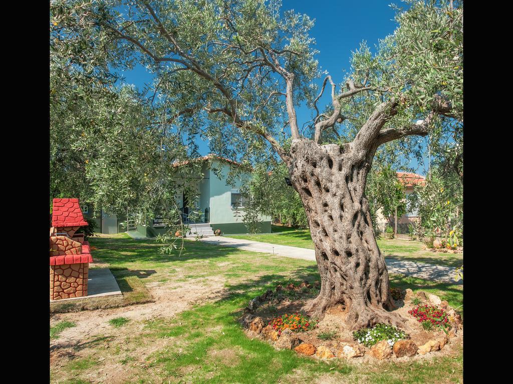 Villa Elia Skála Sotíros Eksteriør billede